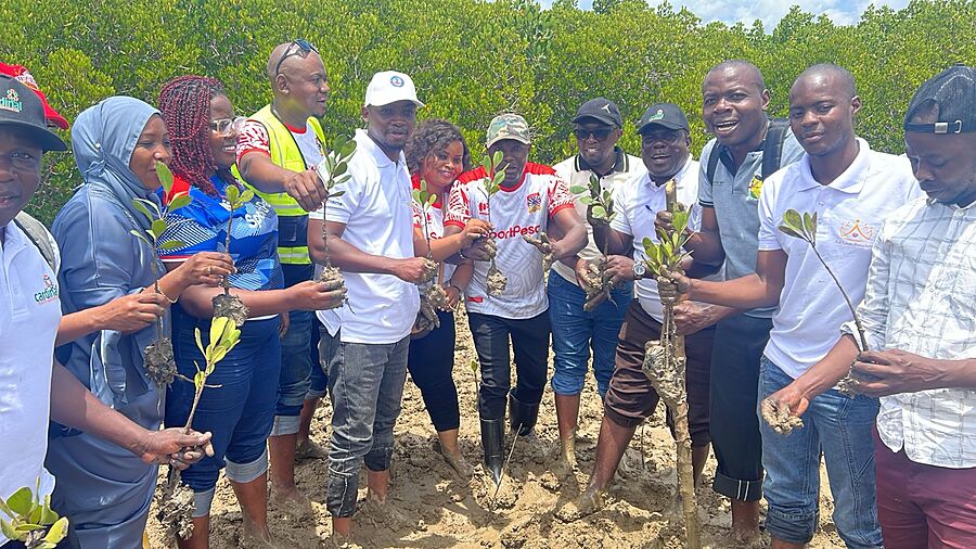 Community members walking out to a mangrove restoration site at low tide