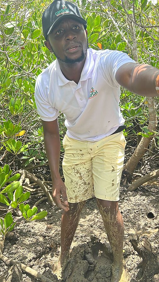 A CYA volunteer standing in the mangroves during a restoration day
